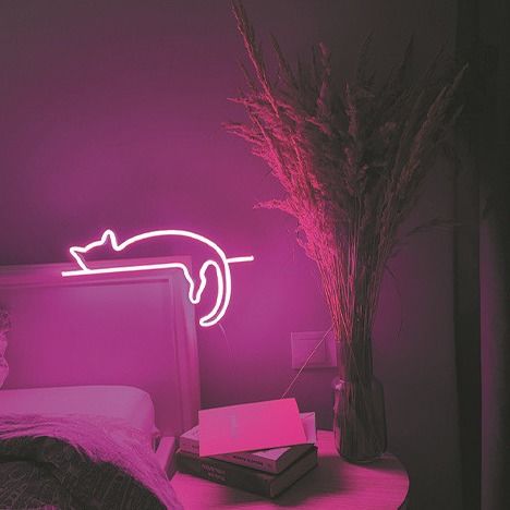 El silicón de neón flexible brillante DC 12V de la luz de tira del LED impermeabiliza decorativo