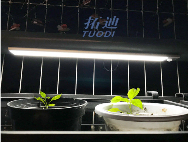 Luz flexible recargable inalámbrica del gabinete del sensor de movimiento del USB LED bajo luz contraria de la iluminación de armario